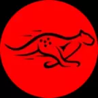 猎豹TK短视频网络节点