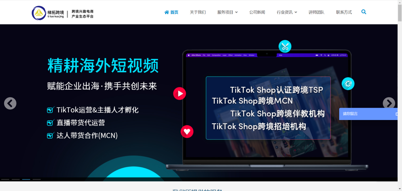 TIKTOK系统化运营专家 网站截图