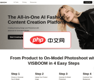 VISBOOM 网站截图