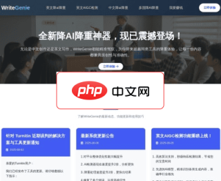 WriteGenie 网站截图