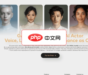 Gaga 网站截图