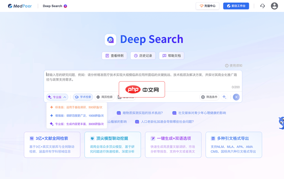 Deep Search 网站截图