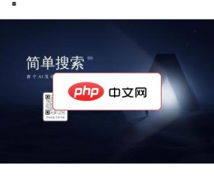 简单搜索 网站截图