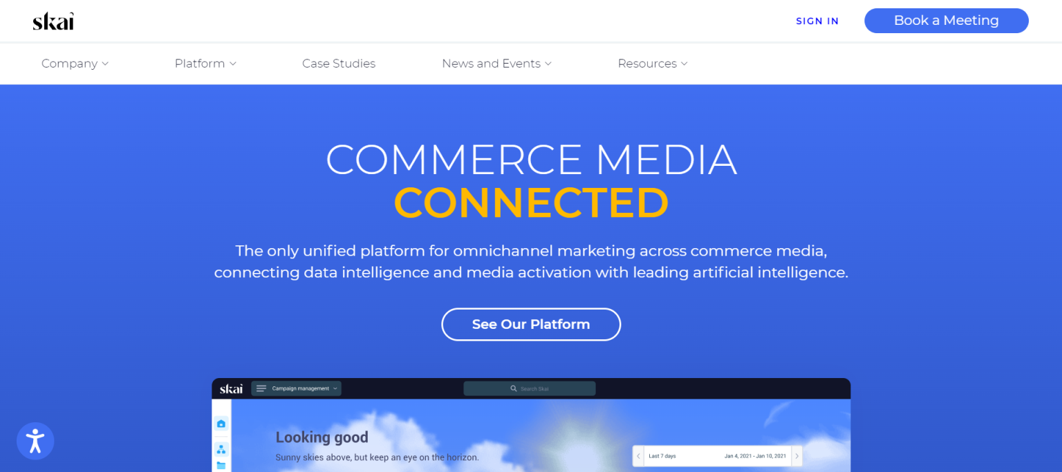 Skai广告自动化工具 网站截图