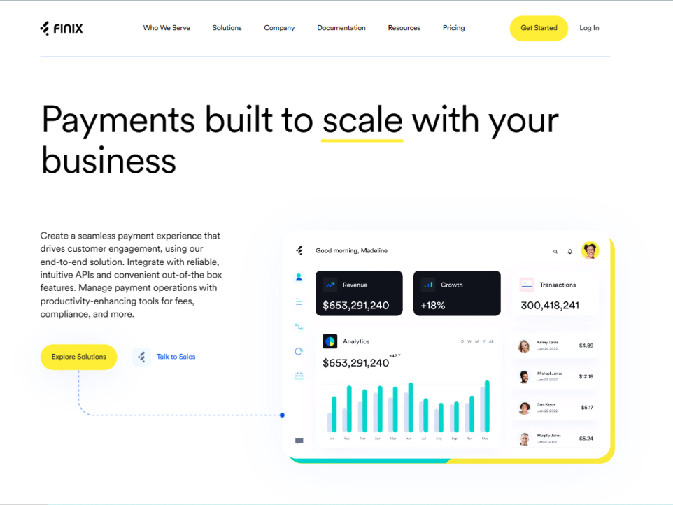 BlueSnap 网站截图