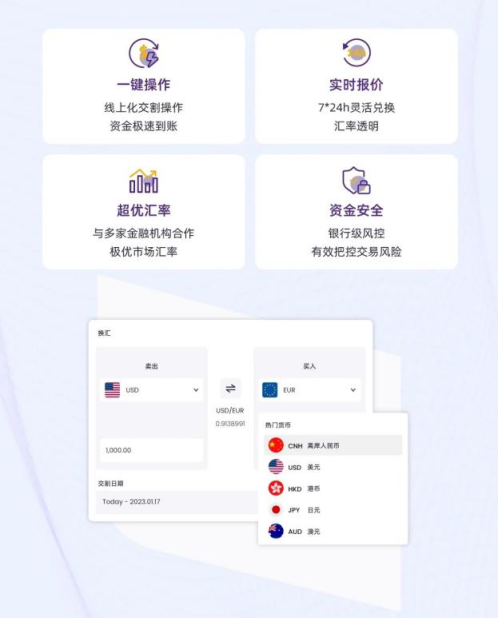 汇兑管理&mdash;&mdash;专业灵活的汇兑方案，系统性管理汇率风险