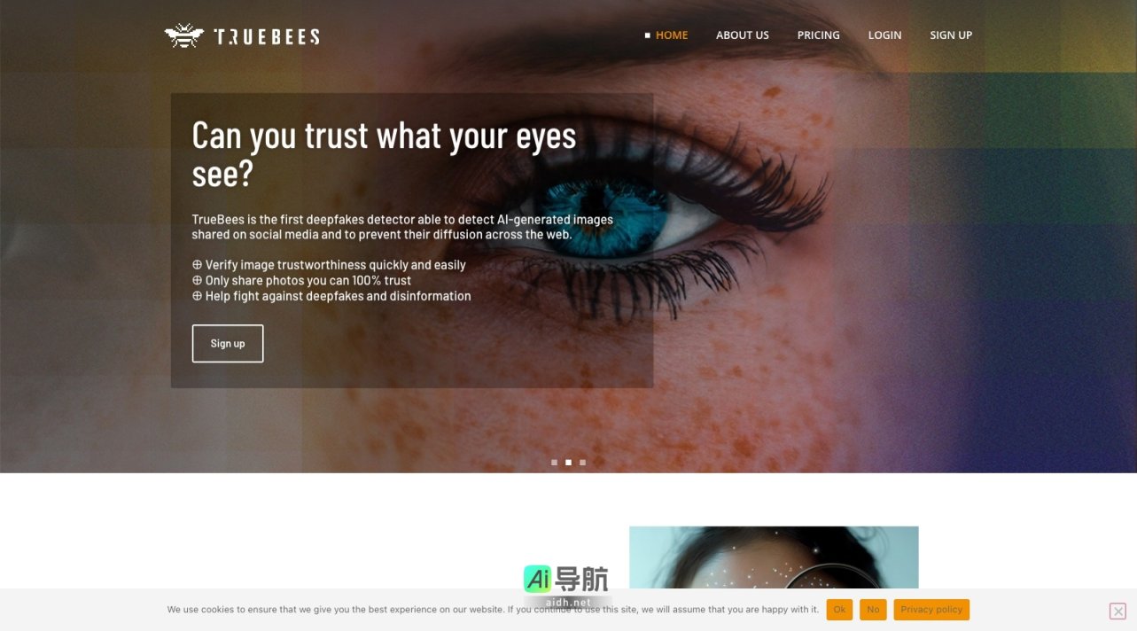 TrueBees的封面图